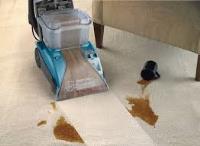 Service Master Carpet Cleaning image 9
